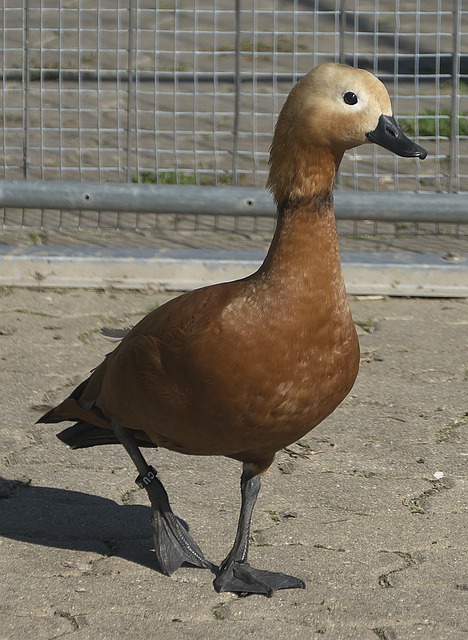 就是一个完