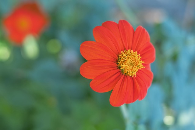 挖掘新的运 挖掘新的运