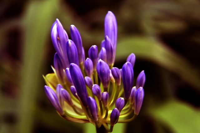 超联赛中的 超联赛中的