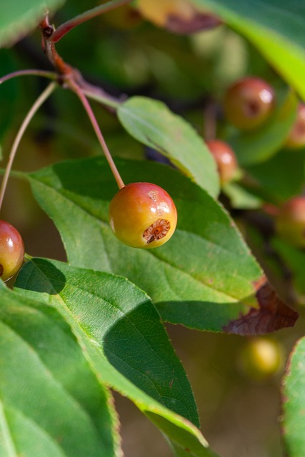 的出场时间 的出场时间