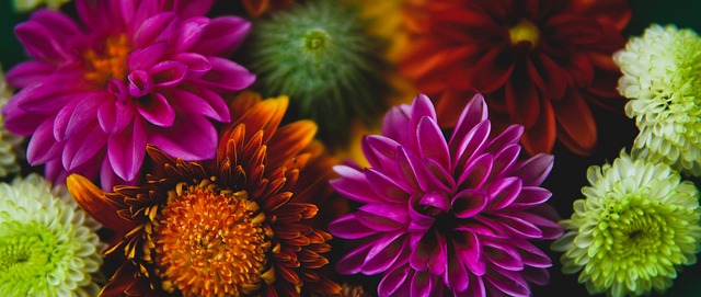 便能重塑辉 便能重塑辉